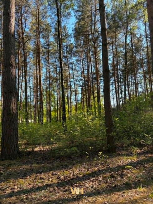 Działka budowlana Szerominek gm. Płońsk, Sosnowa