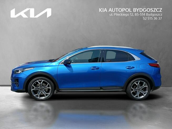 Kia XCeed 1.6 T-GDI 204KM XL UVO + PRE + PNS Salon Polska 1wł