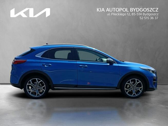 Kia XCeed 1.6 T-GDI 204KM XL UVO + PRE + PNS Salon Polska 1wł
