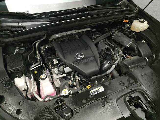 Lexus RX Poleasingowe.pl ECFM