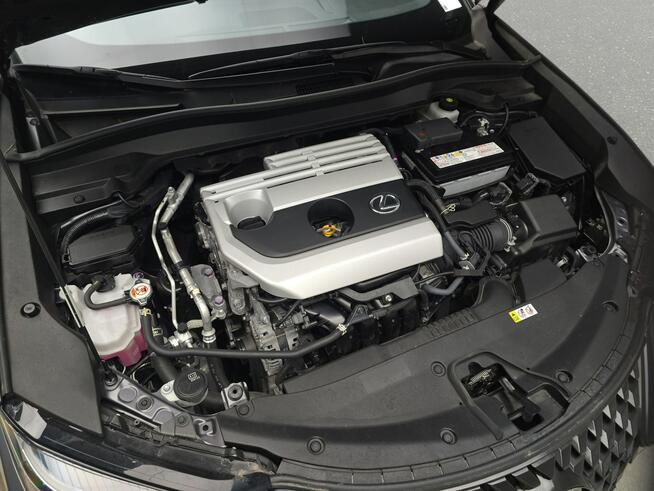 Lexus UX Poleasingowe.pl ECFM