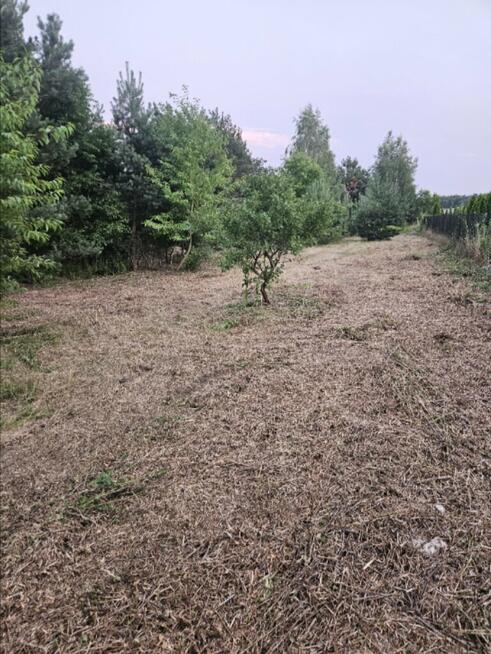 Działka rolno-budowlana 1,52 ha Dąbrowa gm. Ludwin