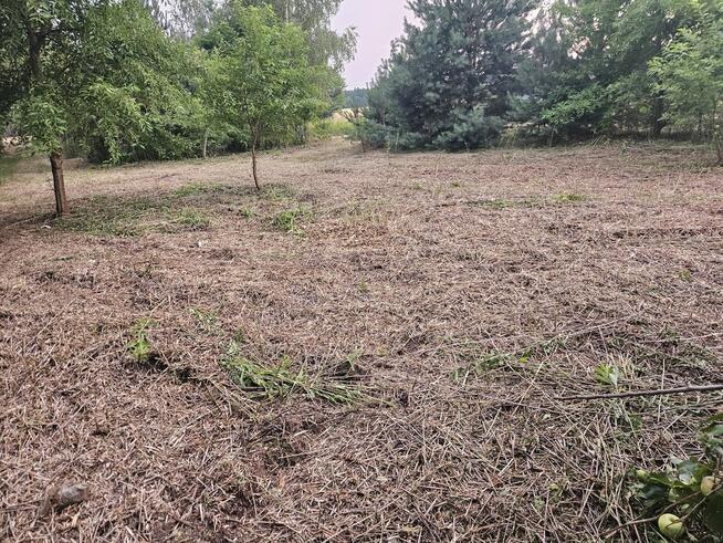 Działka rolno-budowlana 1,52 ha Dąbrowa gm. Ludwin