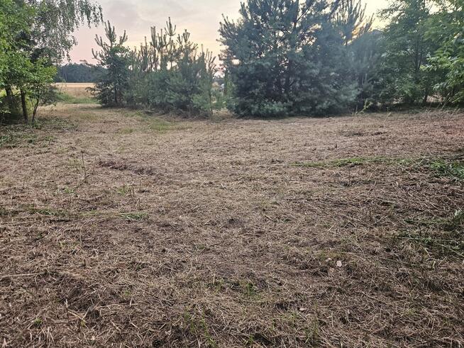Działka rolno-budowlana 1,52 ha Dąbrowa gm. Ludwin