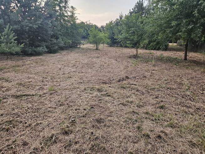 Działka rolno-budowlana 1,52 ha Dąbrowa gm. Ludwin