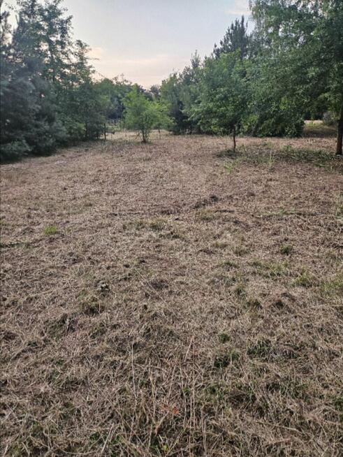 Działka rolno-budowlana 1,52 ha Dąbrowa gm. Ludwin