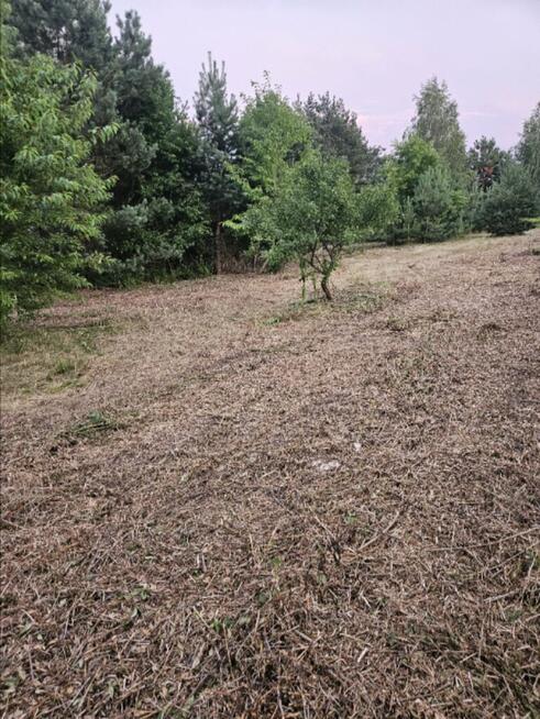 Działka rolno-budowlana 1,52 ha Dąbrowa gm. Ludwin