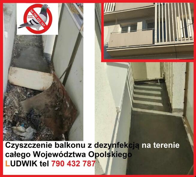 Czyszczenie sprzątanie po gołębiach