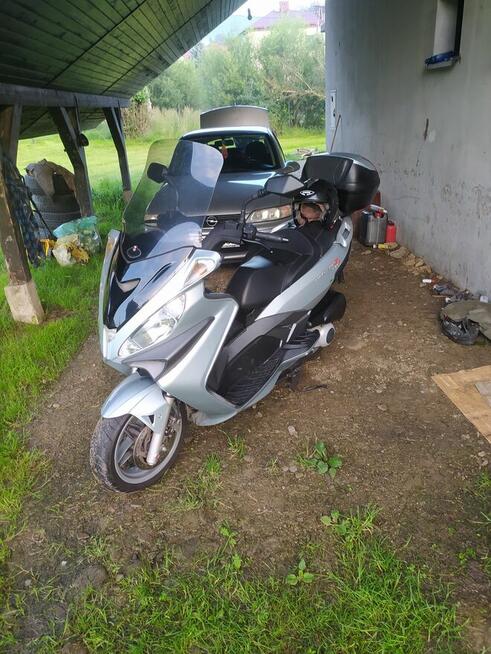 Skuter