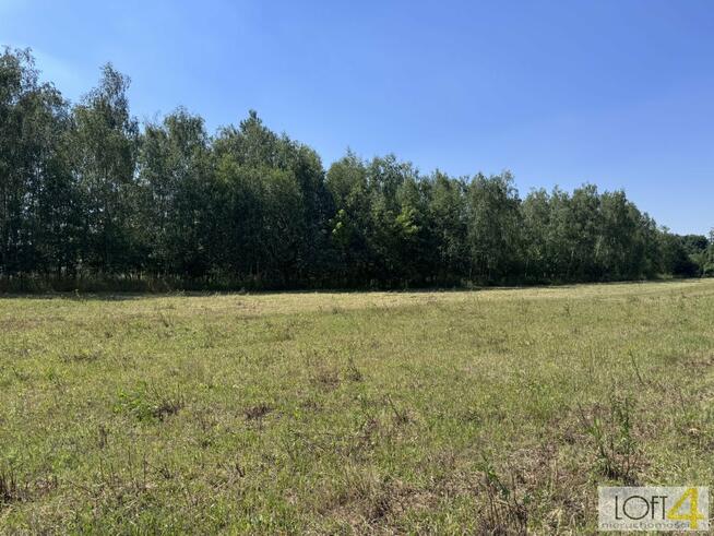 Działka rolno-budowlana Kupienin gm. Mędrzechów