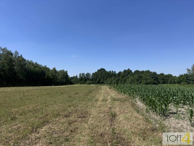 Działka rolno-budowlana Kupienin gm. Mędrzechów