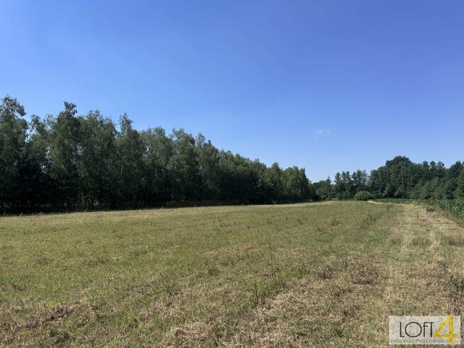 Działka rolno-budowlana Kupienin gm. Mędrzechów