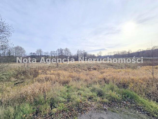 Działka Jabłów gm. Stare Bogaczowice