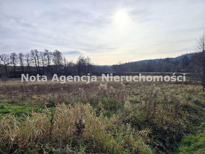 Działka Jabłów gm. Stare Bogaczowice