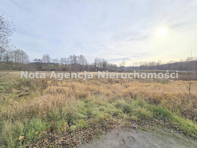 Działka Jabłów gm. Stare Bogaczowice