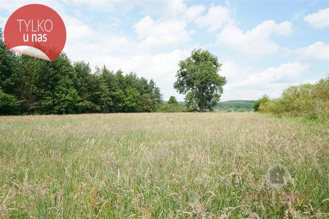 Zadrzewiony grunt rolny, 1,73 ha przeliczeniowych
