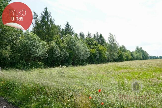 Zadrzewiony grunt rolny, 1,73 ha przeliczeniowych