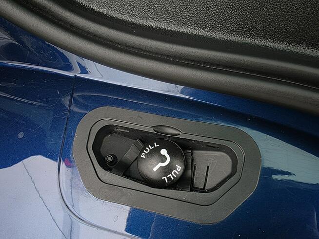 Renault Grand Scenic serwis ASO, Hak
