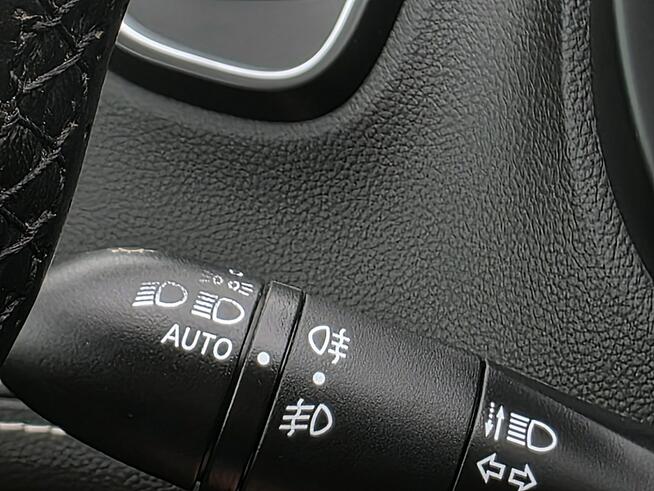 Renault Grand Scenic serwis ASO, Hak
