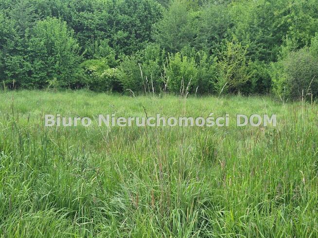 Działka rolna Brzeziny-Kolonia gm. Poczesna