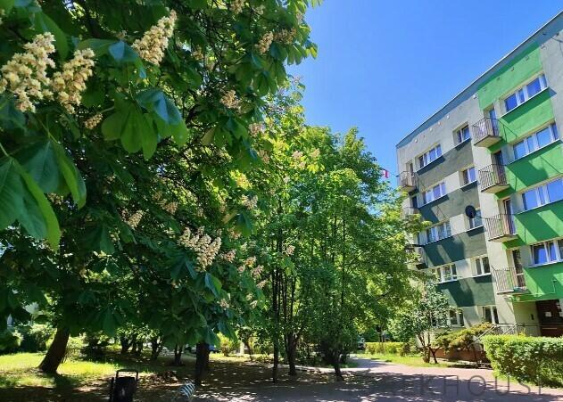 3-pokojowe mieszkanie na Ochocie