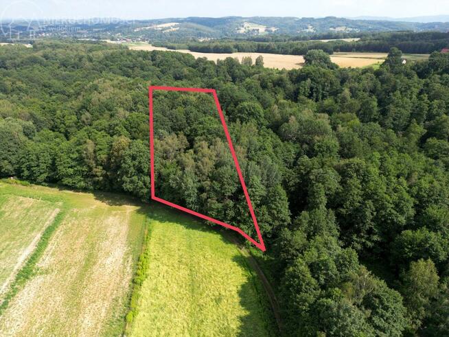 Działka leśna Zawada gm. Tarnów