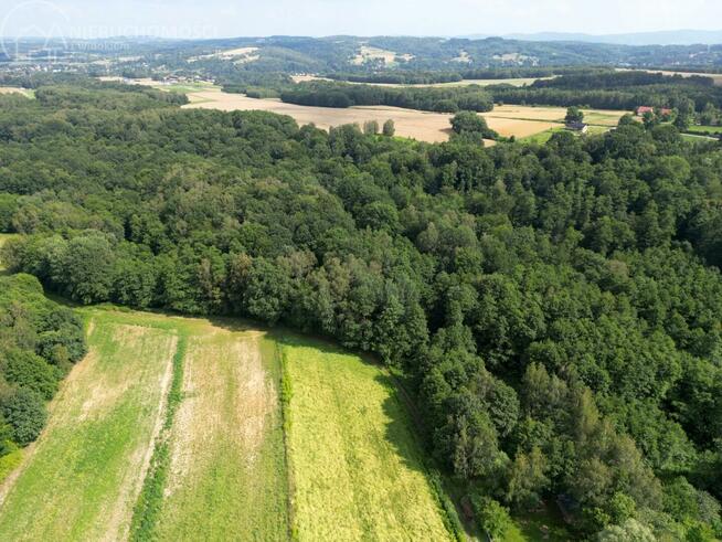Działka leśna Zawada gm. Tarnów