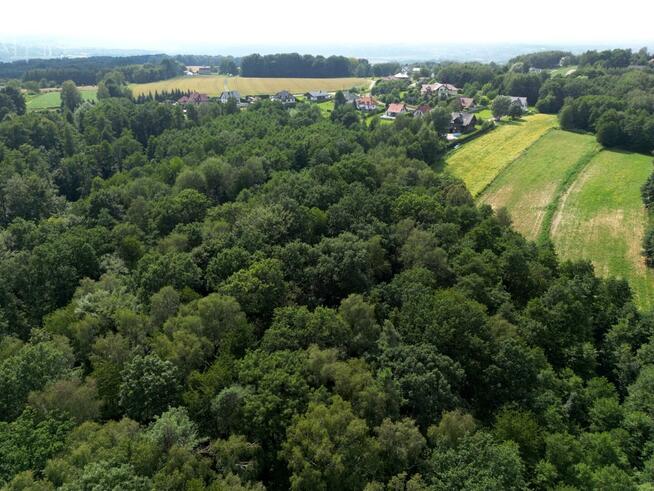 Działka leśna Zawada gm. Tarnów