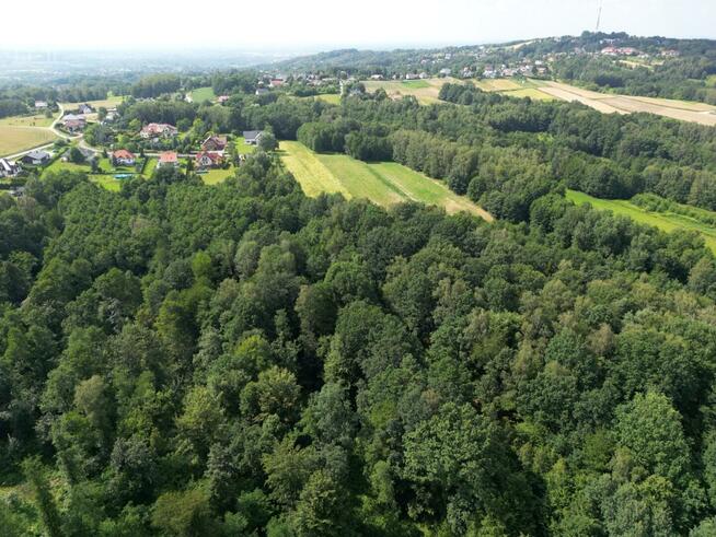 Działka leśna Zawada gm. Tarnów
