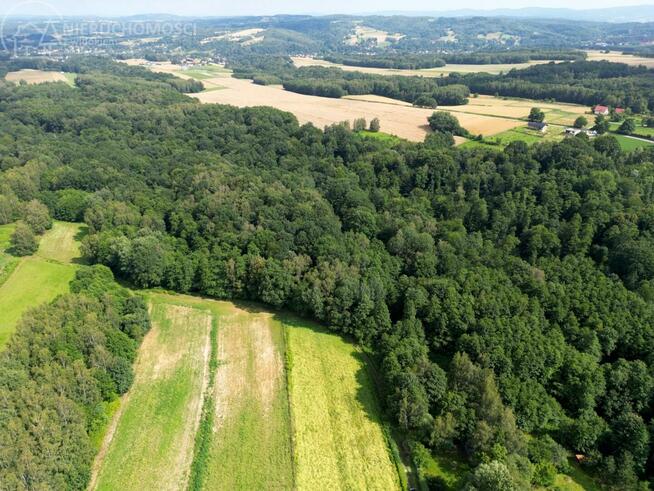 Działka leśna Zawada gm. Tarnów