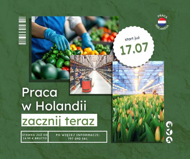 Praca Holandia