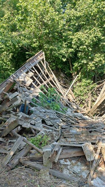 Za darmoDrzewo z zawolenej Stodoły w Pietrzykowicac