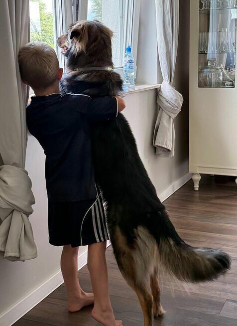 Neska - domowa, rodzinna sunia szuka aktywnego domu!