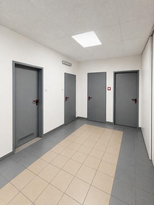 Lokal biurowo-usługowy 350 m² przy ul. Nadbrzeżnej w Koninie