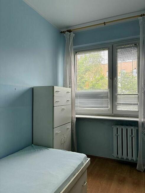 rewelacyjne lokalizacja/funkcjonalny układ