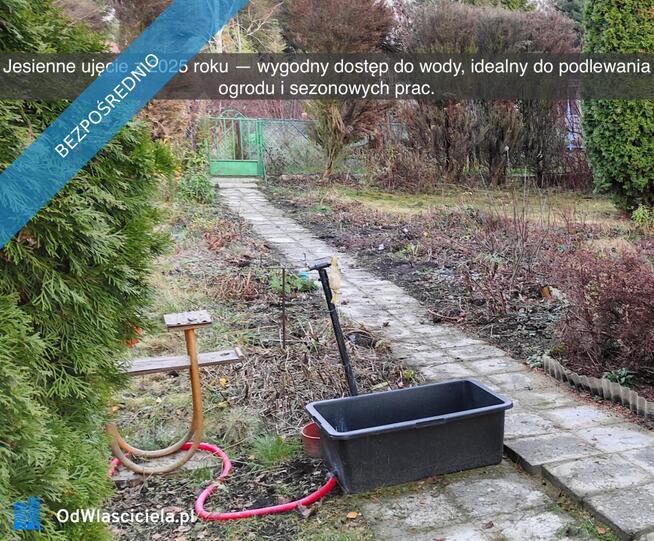 Działka rekreacyjna z domkiem w ROD "Kaczeniec" - Ząbki koło Warszawy