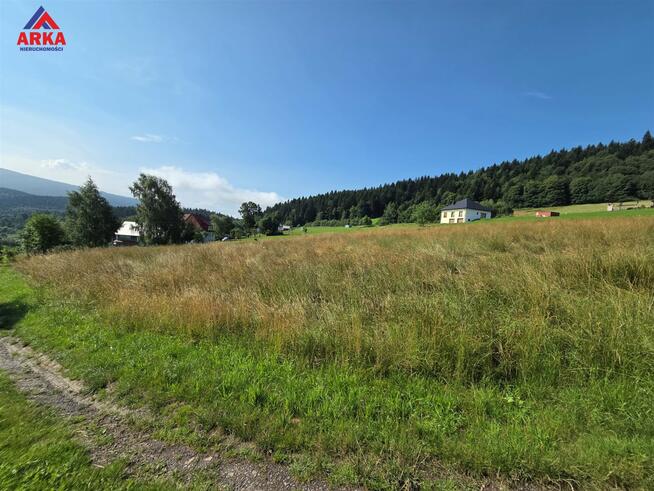 Działka Wola Skrzydlańska gm. Dobra