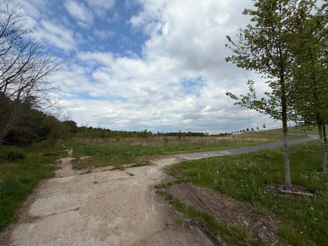 Ponad pół hektara zieleni nad Bystrzycą !