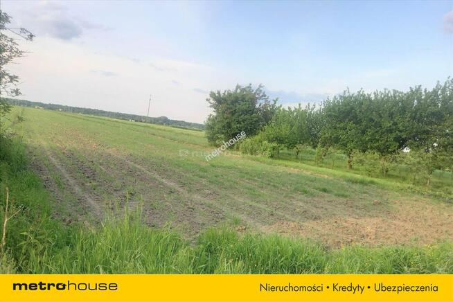 Działka siedliskowa w Krężcach koło Skierniewic