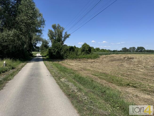 Działka Kupienin gm. Mędrzechów