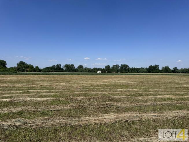 Działka Kupienin gm. Mędrzechów
