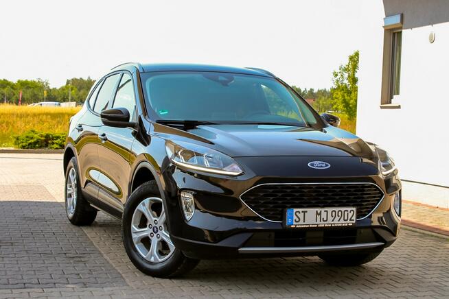 Ford Kuga Radar System Pasa Navi Android Auto Virtual Cockpit Ledy