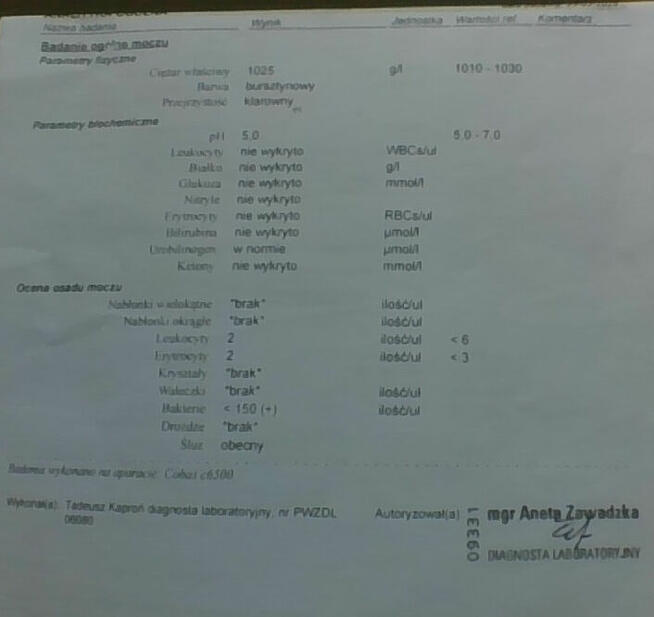 Szukam pracy w wykonczeniach