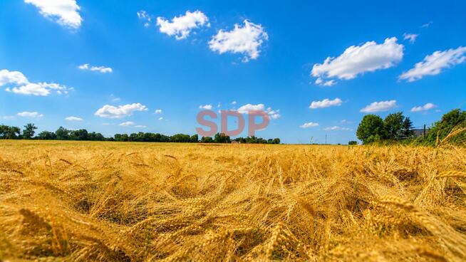 Działka budowlana Bratowice gm. Żórawina