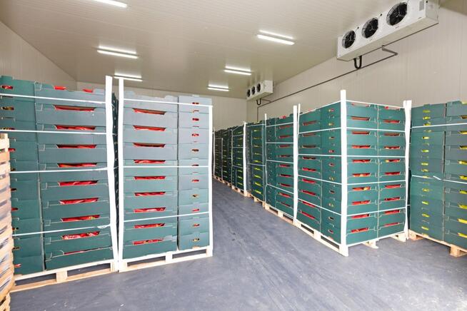 Chłodnia, magazyn 50-200 m² regały, wózek widłowy