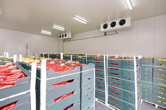 Chłodnia, magazyn 50-200 m² regały, wózek widłowy