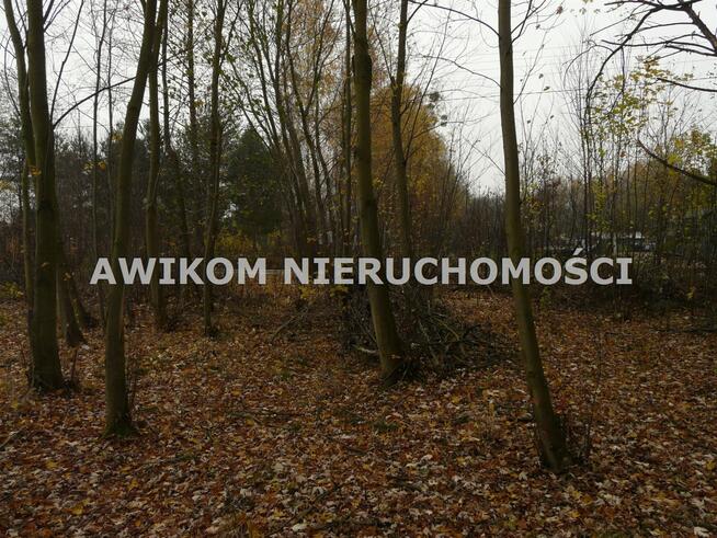 Działka rekreacyjna Wiskitki Antoniew