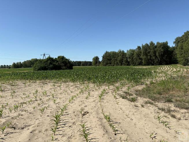 Działka siedliskowa Osowo Stare gm. Oborniki