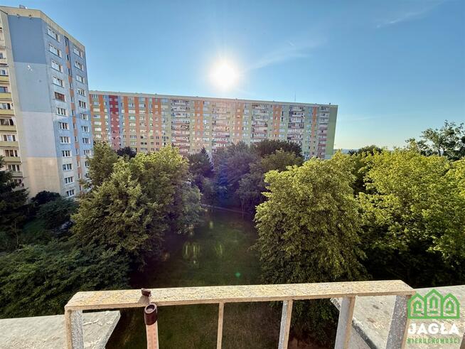 Mieszkanie Bydgoszcz Wyżyny, Ogrody