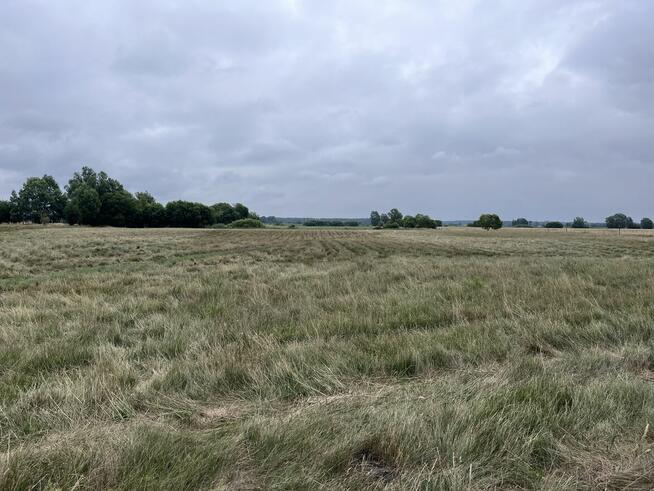 Działa rolna 3.58 ha - tylko 17 km od morza!